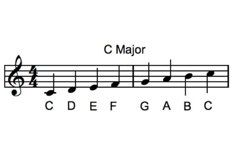 How Many Notes in a Musical Scale: A Symphony of Chaos and Order