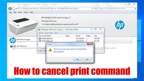 How to Cancel Print: A Symphony of Chaos and Order