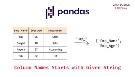 How to Print Column Names in Pandas: A Journey Through Data and Imagination