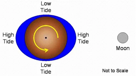 The Tide Is High onnentahti ja unelman täyttyminen: 