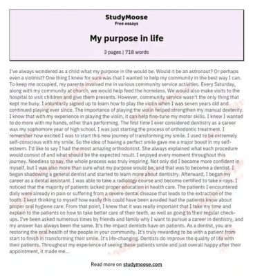 What is Your Purpose in Life Essay: A Journey Through the Labyrinth of Existence